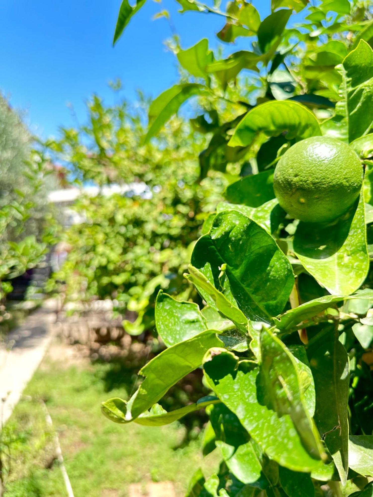 Kaleici Aparts Antalya Villa Luaran gambar